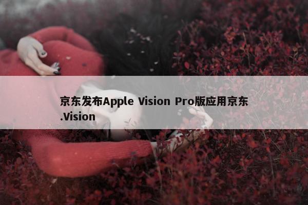 京东发布Apple Vision Pro版应用京东.Vision